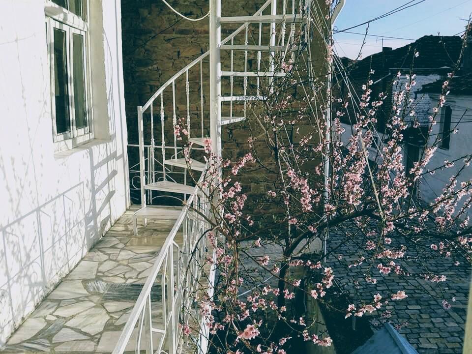 Cozy Loft Apartment Korce Ngoại thất bức ảnh